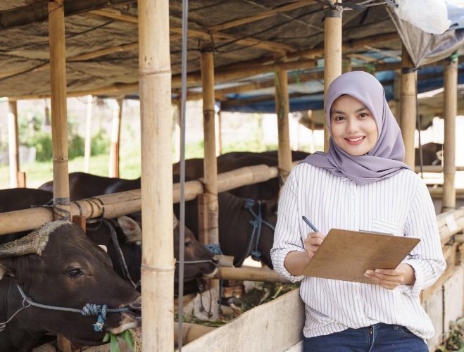 Apa Saja Syarat Hewan untuk Berqurban?